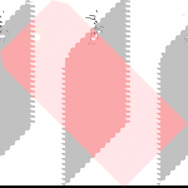 Blank Tag: 4-1/4'' High, Pink, Synthetic Paper